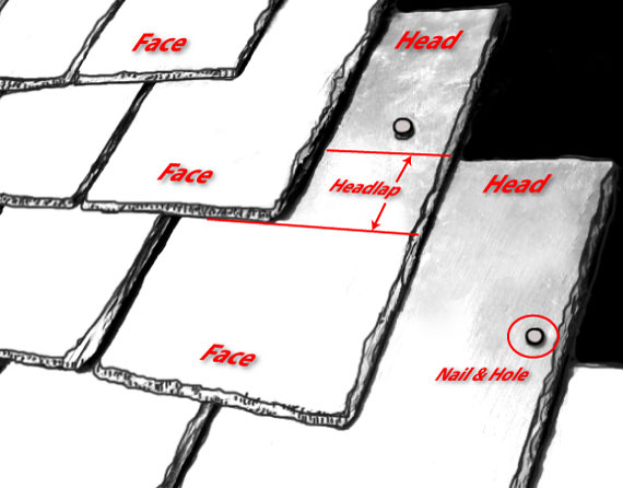 An illustration showing slate tiles on a roof with the terms used to describe the various regions of the slate.