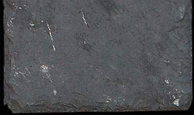 Sample of Brazilian Charcoal Dry, Close